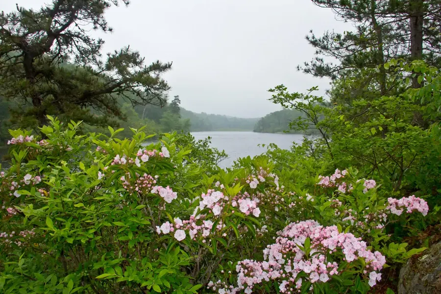 New Jersey landscape