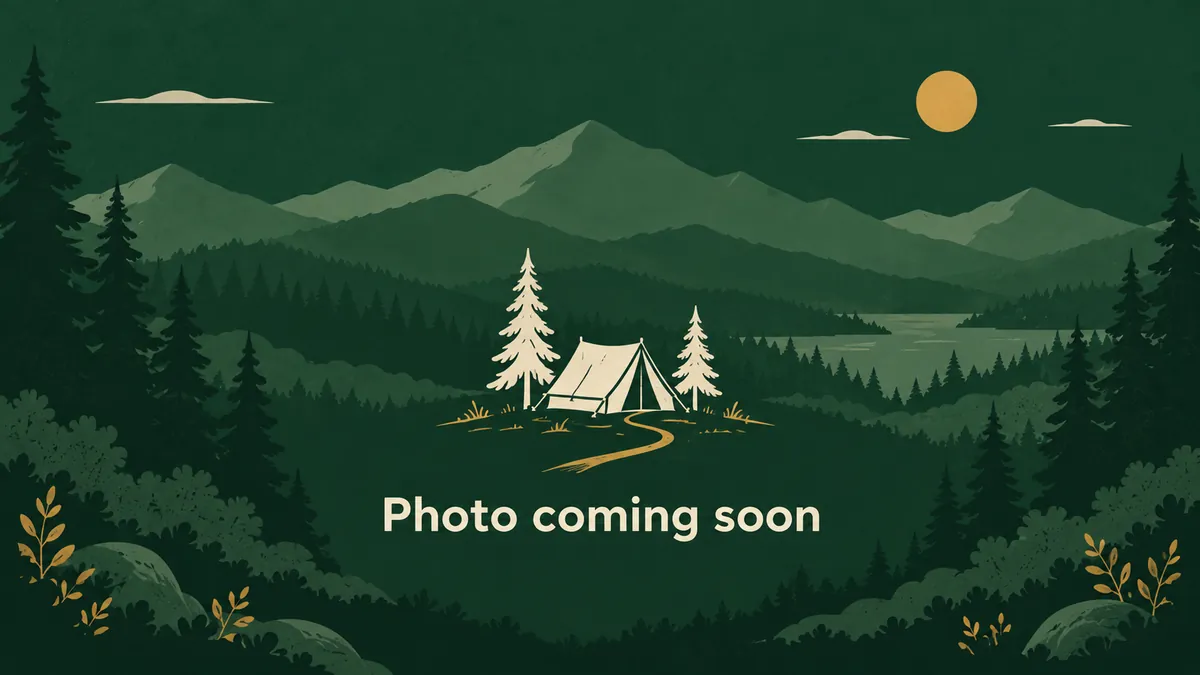 Illustration: photo coming soon