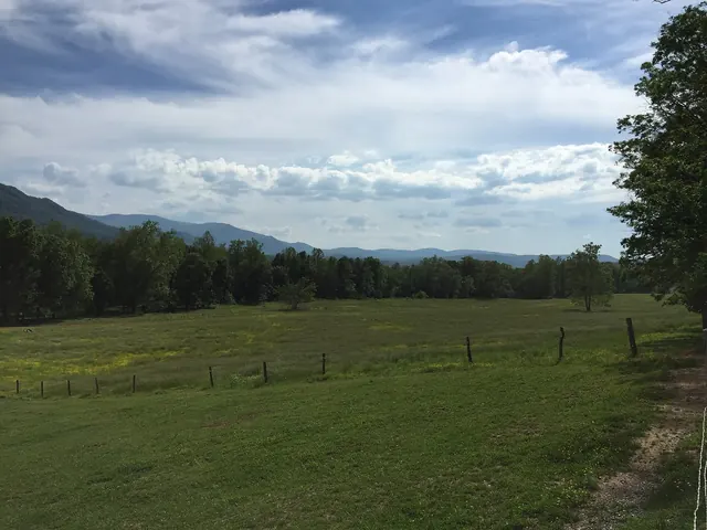 2017-05-17 near Cades Cove Group, Tennessee