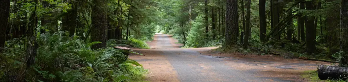 North Fork Campground (WA) in Gifford Pinchot National Forest, Washington