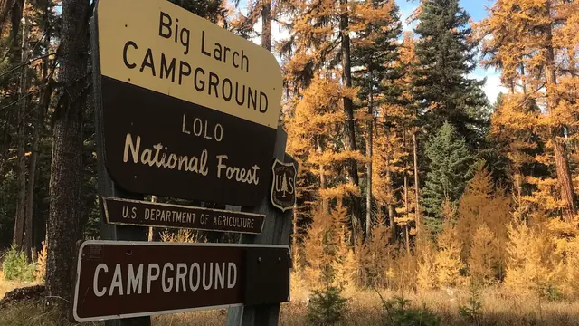 Big Larch Campground, Montana