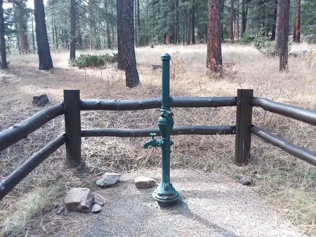 Rio De Las Vacas Campground, New Mexico