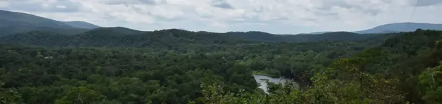 Fifteen Mile Creek Campsite, Maryland
