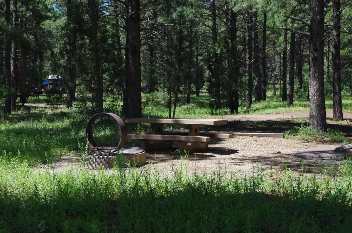 Potato Patch Campground in Prescott National Forest, Arizona