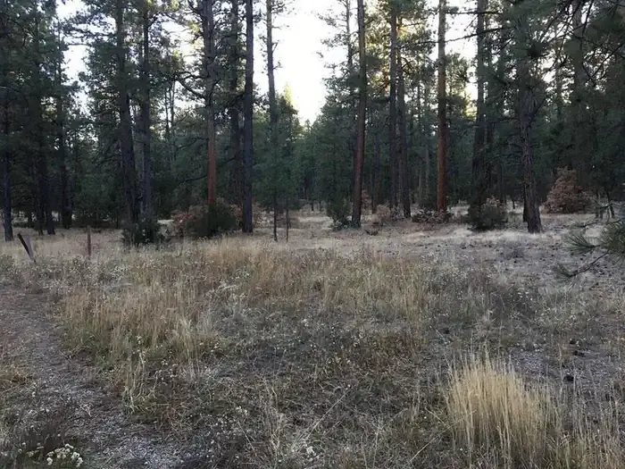 Amole Canyon Group Shelter in Carson National Forest, New Mexico