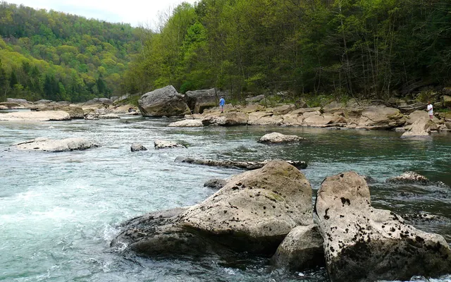 Gauley River-27527- near Gauley Tailwaters, West Virginia