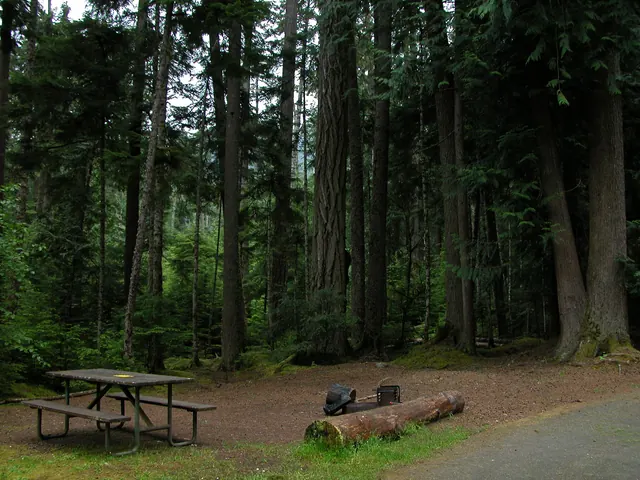 Heart O' the Hills Campground, Washington