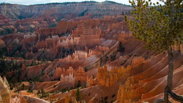 Sunset Campground (UT), Utah