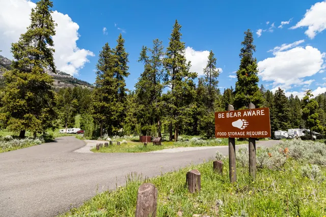 Pebble Creek Campground, Wyoming